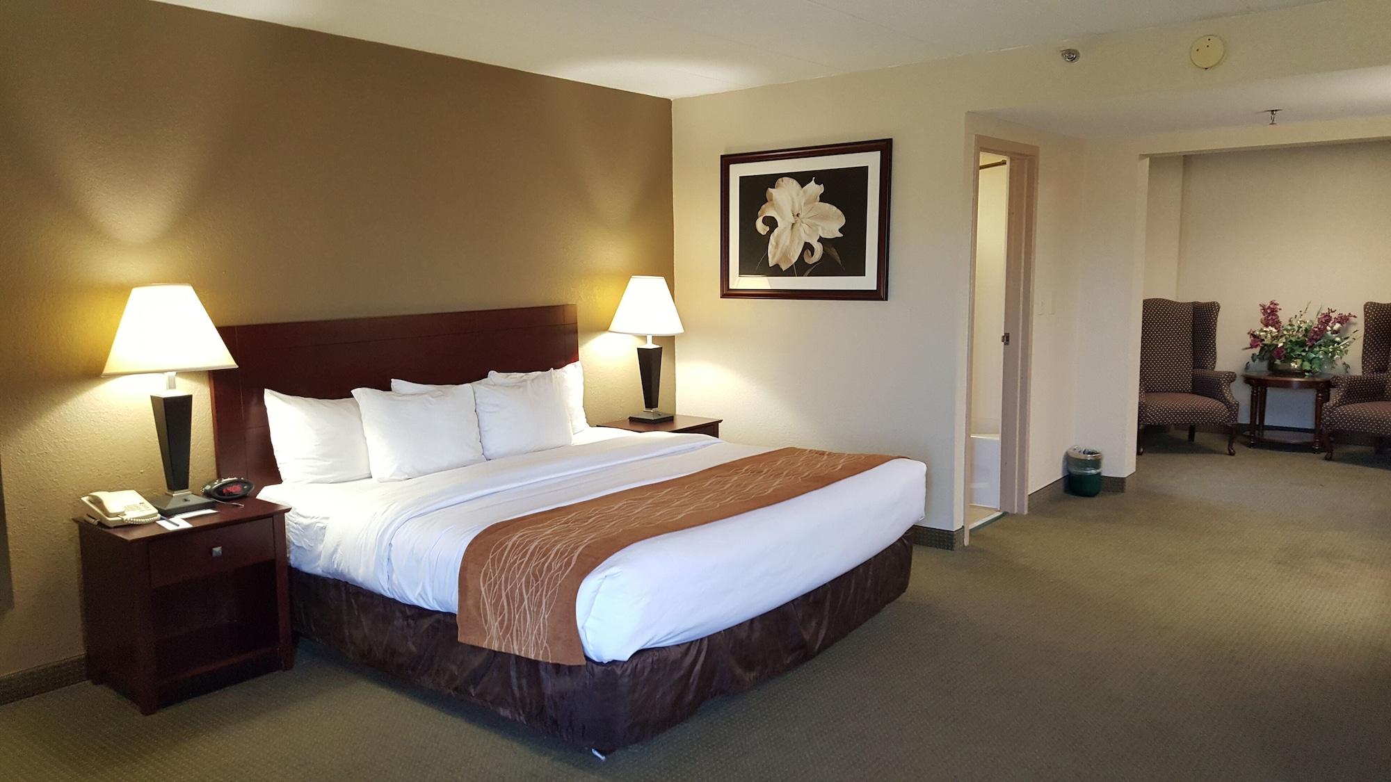Comfort Inn Northeast Mason Eksteriør billede